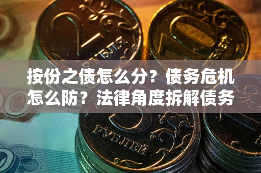 武汉按份之债怎么分？债务危机怎么防？法律角度拆解债务分配与风险自保指南