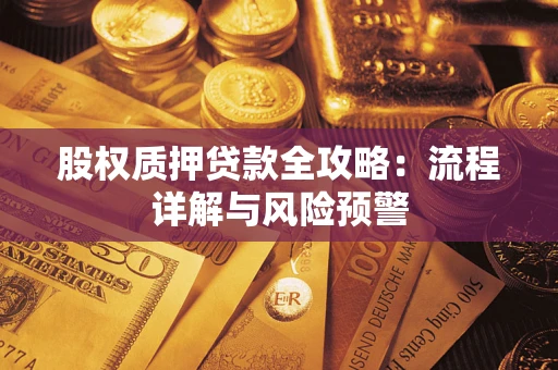 武汉股权质押贷款全攻略：流程详解与风险预警