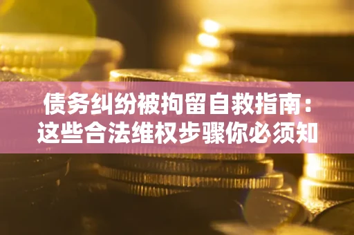 武汉债务纠纷被拘留自救指南：这些合法维权步骤你必须知道！