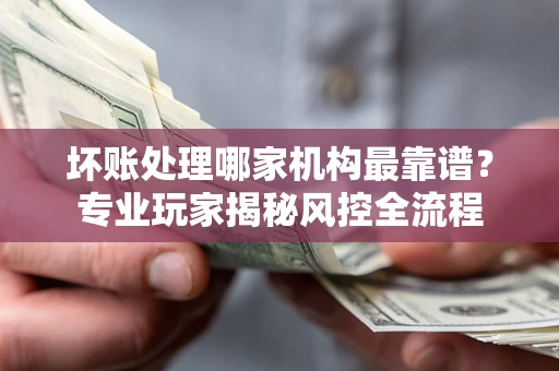 武汉坏账处理哪家机构最靠谱？专业玩家揭秘风控全流程