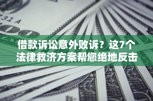 武汉借款诉讼意外败诉？这7个法律救济方案帮您绝地反击！