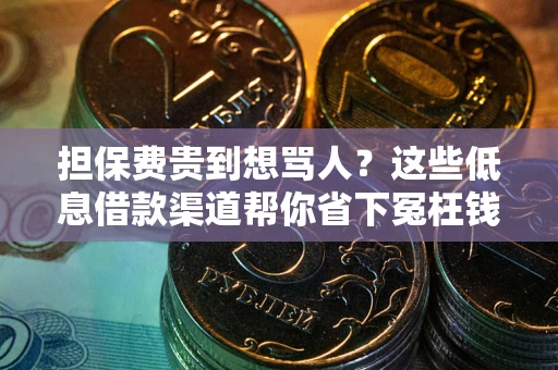 武汉担保费贵到想骂人？这些低息借款渠道帮你省下冤枉钱