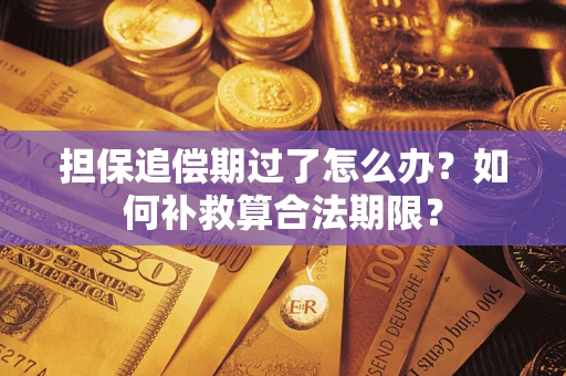 武汉担保追偿期过了怎么办？如何补救算合法期限？