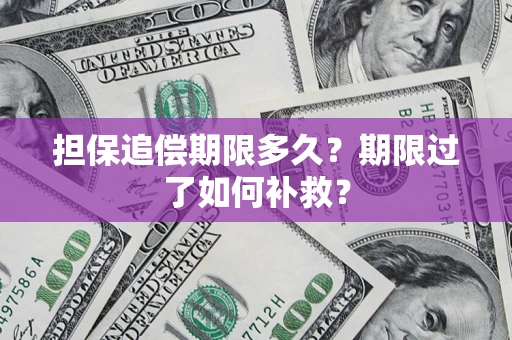 武汉担保追偿期限多久？期限过了如何补救？