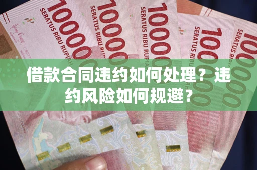 武汉借款合同违约如何处理？违约风险如何规避？