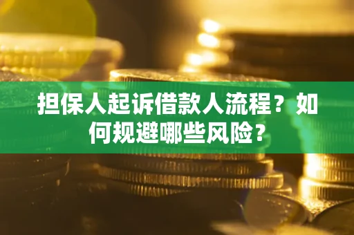 武汉担保人起诉借款人流程？如何规避哪些风险？