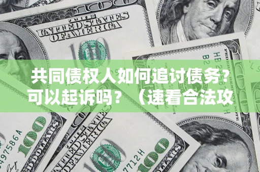 武汉共同债权人如何追讨债务？可以起诉吗？（速看合法攻略）