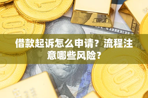 武汉借款起诉怎么申请？流程注意哪些风险？