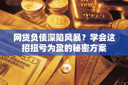 武汉网贷负债深陷风暴？学会这招扭亏为盈的秘密方案